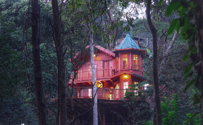 Escape To These Tree Houses And Reconnect With Nature