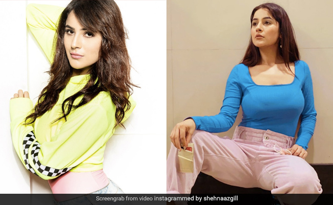 शहनाज गिल ने 6 महीनों में कम किया इतना वजन, Photo और Video से यूं चौंकाया