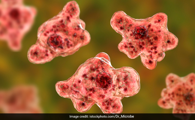 US Man Dies From Rare Brain-Eating Amoeba Infection After Water Skiing