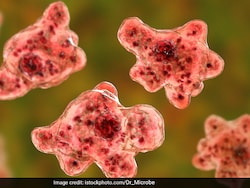 US Man Dies From Rare Brain-Eating Amoeba Infection After Water Skiing