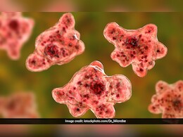 Kerala News: 'मेंदूत घुसून एका किड्याने घेतला 19 जणांचा जीव; केरळमधील आजाराने चिंता वाढवली