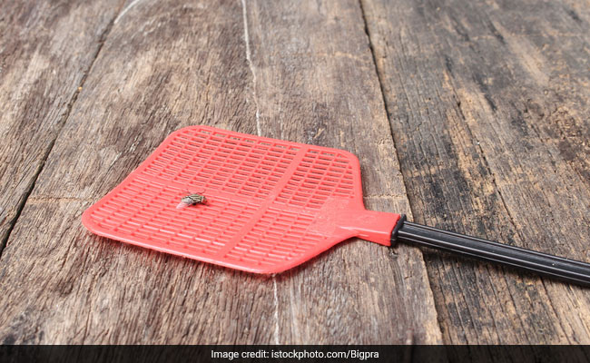 Man Blows Up Kitchen While Trying To Swat Fly