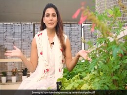 साउथ एक्ट्रेस सामन्था अक्किनेनी ने मूली की खेती के लिए दिए टिप्स, शेयर किया प्यारा सा Video साउथ एक्ट्रेस सामन्था अक्किनेनी ने मूली की खेती के लिए दिए टिप्स, शेयर किया प्यारा सा Video