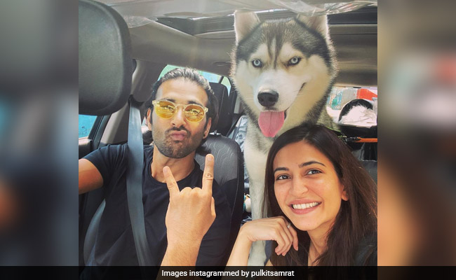 Kriti Kharbanda Went On A Long Drive With Her "Favourites" Pulkit Samrat And Drogo
