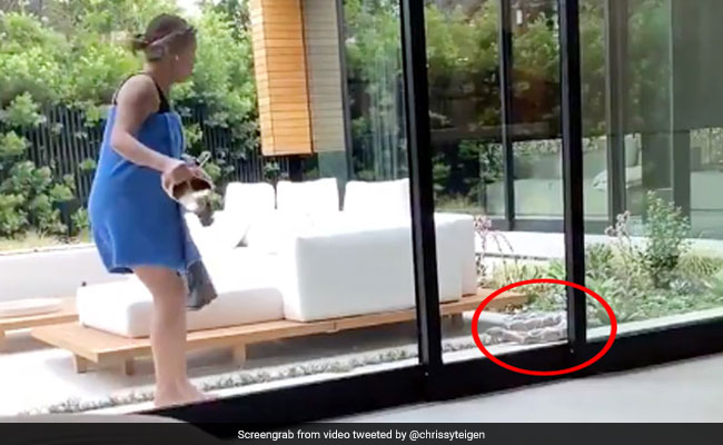 लड़की ने मां के सामने रख दिया 'सांप', देखते ही निकल पड़ी चीखें और फिर... देखें Viral Video