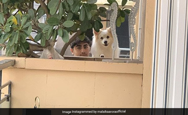 "Heart Breaks To Not Be Able To Hug My Two Babies": COVID-19 Positive Malaika Arora Posts A Pic