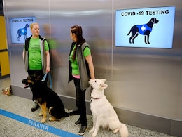 Finland's Airport Uses Dogs To Sniff Out Coronavirus Finland's Airport Uses Dogs To Sniff Out Coronavirus