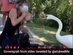 à¤ªà¤ à¤· à¤ à¤¤ à¤ à¤ à¤¬à¤° à¤¬ à¤° à¤ à¤ à¤¨ à¤¯ à¤ in hindi ndtv india à¤ªà¤ à¤· à¤ à¤¤ à¤ à¤ à¤¬à¤° à¤¬ à¤° à¤ à¤ à¤¨ à¤¯ à¤ in hindi ndtv india