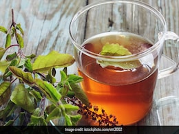 Tulsi Water Benefits: सर्दियों में खाली पेट पिएं तुलसी का पानी, मिलेंगे बेमिसाल फायदे Tulsi Water Benefits: सर्दियों में खाली पेट पिएं तुलसी का पानी, मिलेंगे बेमिसाल फायदे