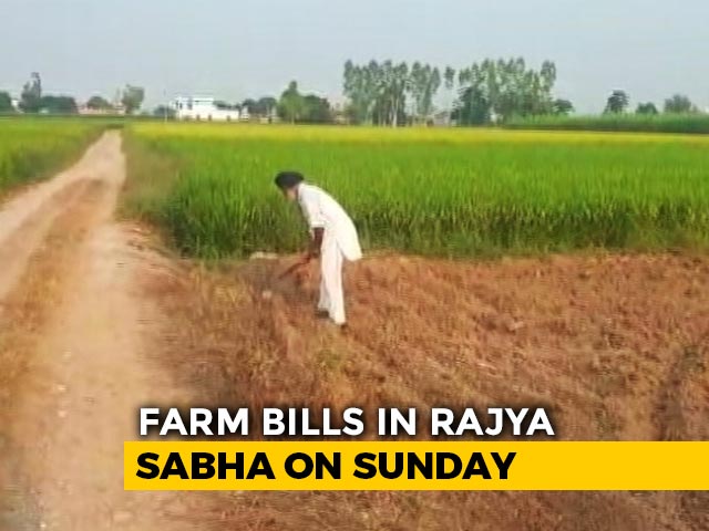 BJP Has Slim Lead Over Opposition In Numbers Game On Farm Bills