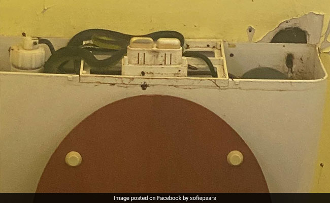 टॉयलेट में फ्लश नहीं कर रहा था काम, महिला ने खोला तो अंदर बैठा था सांप का परिवार, चीखकर भागी