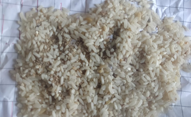 "Suitable For Goats, Sheep": Centre To Madhya Pradesh On Grains For Poor