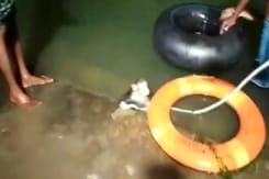 Watch: Miracle Rescue Of Monkey Trapped In A Reservoir In Odisha Watch: Miracle Rescue Of Monkey Trapped In A Reservoir In Odisha