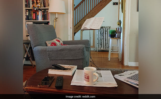 There's A Cat In This Viral Pic But Finding It Is Really Tough. Can You Do It?