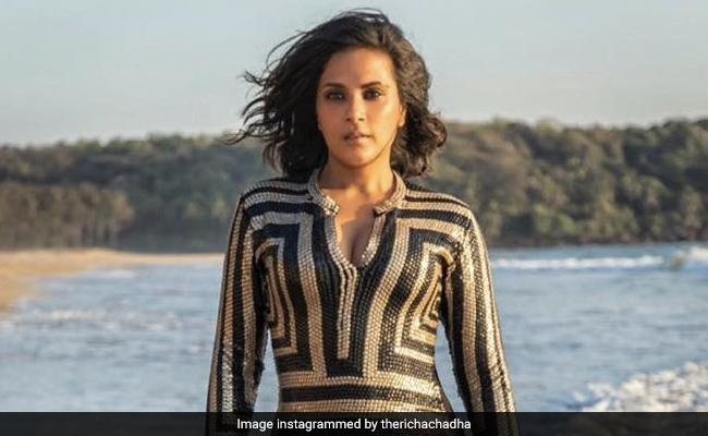 "Am An Actor, Not A Revolutionary," Writes Richa Chadha. See Her "Reminder Post"