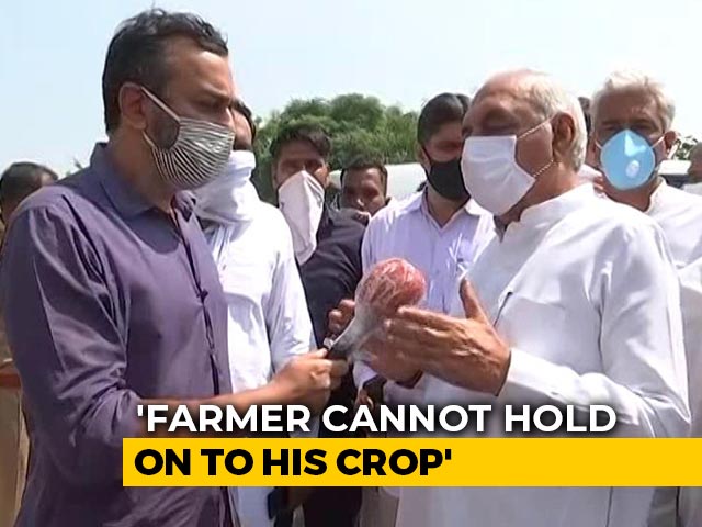 If You Sell Outside Mandi, Buyers Not Bound To Stick To MSP, Says BS Hooda