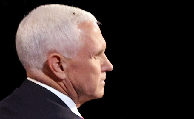 Fly On Pence's Head Is Social Media Winner Of Vice Presidential Debate