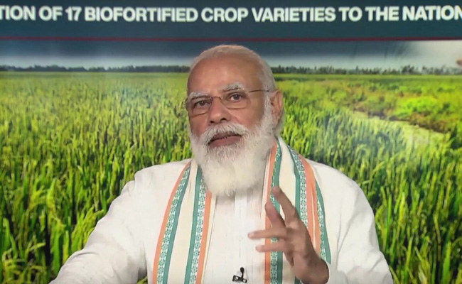 MSP, Government Procurement Important Part Of Food Security: PM Modi