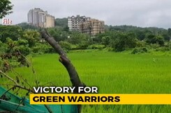 800 Acres Of Mumbai's Aarey Declared Forest, Metro Carshed To Be Shifted 800 Acres Of Mumbai's Aarey Declared Forest, Metro Carshed To Be Shifted