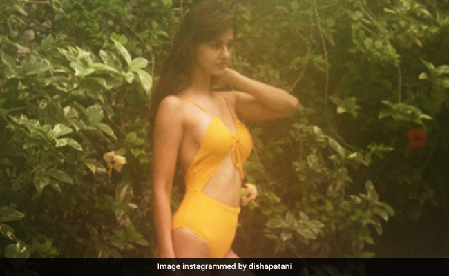 Disha Patani&rsquo;s Swimsuit Look Takes Us Back To Beach Days