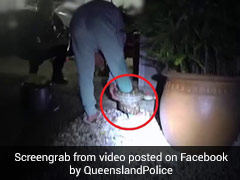 Horrifying Video Shows Python Coiled Around Woman's Leg