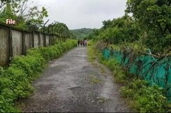 Top News Of The Day: Mumbai's Aarey Metro Car Shed To Be Shifted, 800 Acres Declared Forest Top News Of The Day: Mumbai's Aarey Metro Car Shed To Be Shifted, 800 Acres Declared Forest