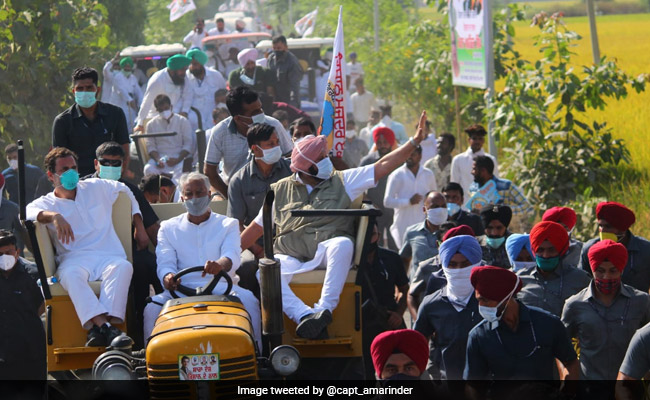 "Will Not Rest Till Farm Laws Go": Amarinder Singh At Mega Punjab Rally