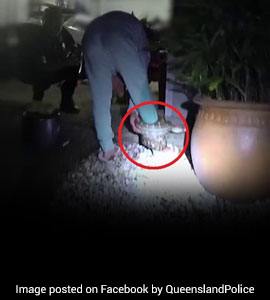 Horrifying Video Shows Python Coiled Around Woman's Leg