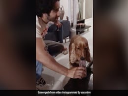 वरुण धवन ने प्यासे Doggy को अपने ही ग्लास से पिलाया पानी, VIDEO शेयर कर लिखा यह मैसेज वरुण धवन ने प्यासे Doggy को अपने ही ग्लास से पिलाया पानी, VIDEO शेयर कर लिखा यह मैसेज