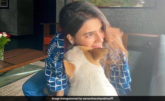 Samantha Ruth Prabhu's Caption For Pic With Her Pet Pooch Is Pure Love