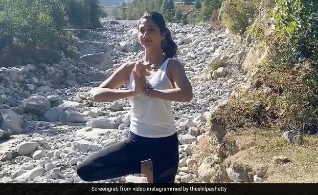 शिल्पा शेट्टी ने पहाड़ों की बीच किया योग, Video शेयर कर बोलीं- जब आपके अंदर बहुत शोर हो तो....