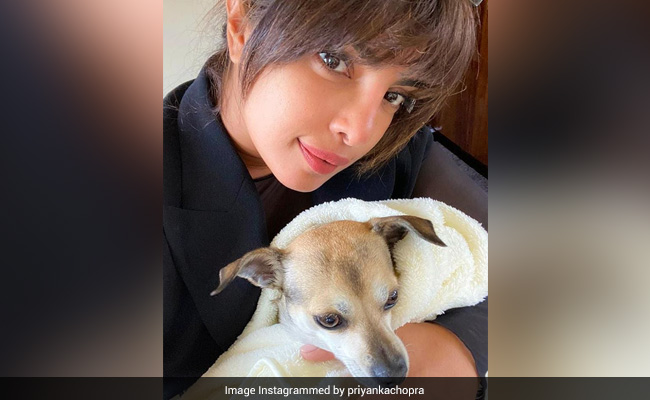 Things Priyanka Chopra Doesn't Miss Any More After Months Of Social Distancing