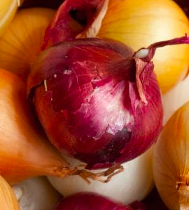 Onion Prices Soar And Twitterati Get Creative - See Hilarious Memes Here