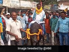 Independent Bihar Polls Candidate Comes On A Buffalo To File Nomination