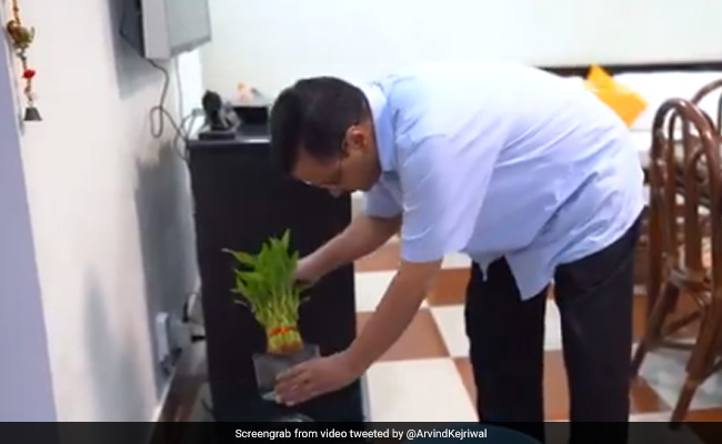 "Have To Defeat Dengue Together": Arvind Kejriwal Shares Video On Twitter