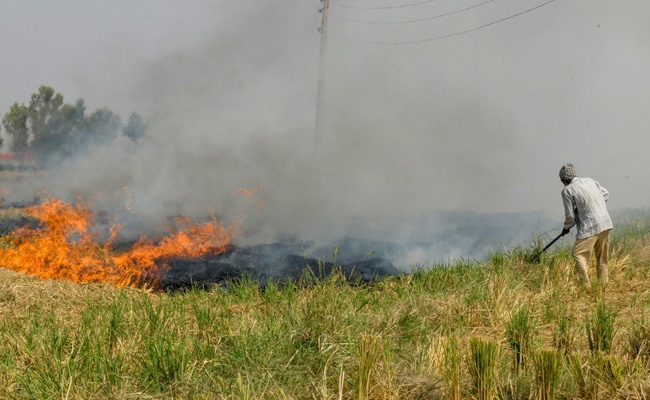 Stubble Burning: Supreme Court Agrees To Request After Centre Assures Law