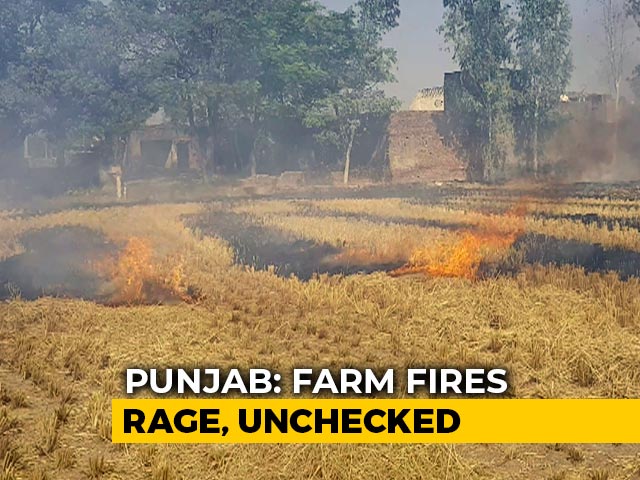 Punjab Behind Major Spike In Farm Fires?