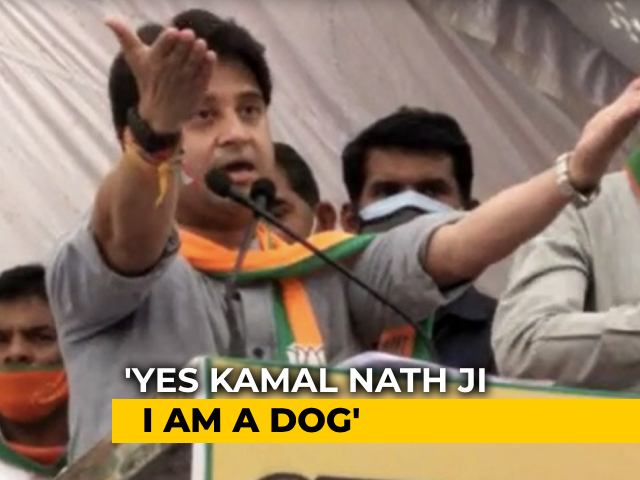 "Haan, Main Kutta Hoon": Jyotiraditya Scindia Says Kamal Nath Called Him "Dog"