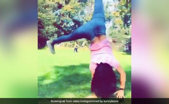 सनी लियोन बच्चों के साथ बनीं बच्ची, पार्क में यूं की कार्ट व्हील- खूब Viral हो रहा है Video