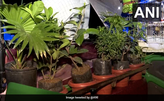 ऑटो चालक को सताई गांव की याद, तो अपने ऑटो को ही बना डाला मिनी गार्डन