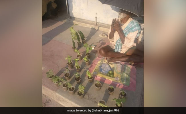 Help Pours In For Elderly Man Selling Plants On The Roadside In Bengaluru