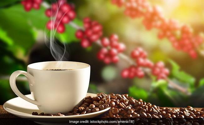 The Rich Cultural Heritage Of India's Coffee Plantations Through The Centuries