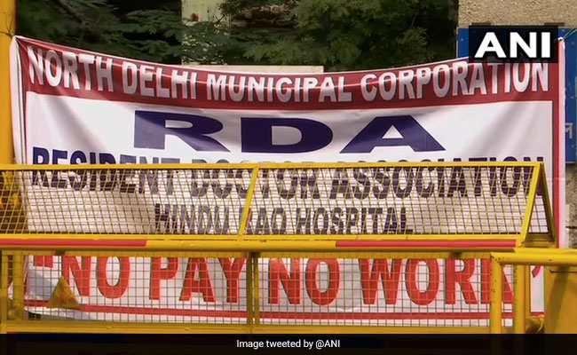 Doctors Meet North Delhi Mayor Over Pending Salaries, Give 7-Point Demand