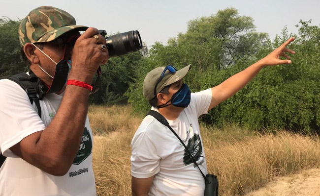 Over 300 Species Enchant Birdwatchers At 3-Day Event In Rajasthan