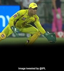 Watch: MS Dhoni Shows Age Is Just A Number With Stunning Catch Watch: MS Dhoni Shows Age Is Just A Number With Stunning Catch