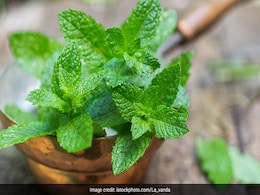 How To Digest Food Fast: चार चमत्कारी चीजें जो अनहेल्दी और हेवी खाने को पचाने में करती है मदद, कब्ज से दिलाती हैं छुटकारा How To Digest Food Fast: चार चमत्कारी चीजें जो अनहेल्दी और हेवी खाने को पचाने में करती है मदद, कब्ज से दिलाती हैं छुटकारा