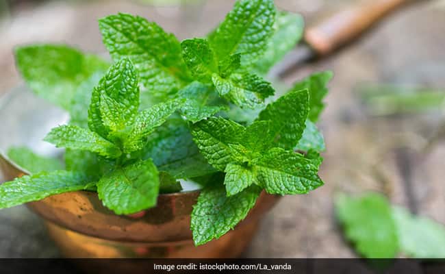 Benefits Of Mint Leaves: गर्मियों में जरूर पिएं पुदीने का जूस, जानें मिंट लीफ के 10 हैरान करने वाले फायदे Benefits Of Mint Leaves: गर्मियों में जरूर पिएं पुदीने का जूस, जानें मिंट लीफ के 10 हैरान करने वाले फायदे