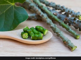 From Weight Loss And Immunity: 5 Reasons Why You Must Add Giloy To Your Diet