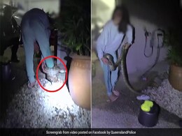 Horrifying Video Shows Python Coiled Around Woman's Leg Horrifying Video Shows Python Coiled Around Woman's Leg