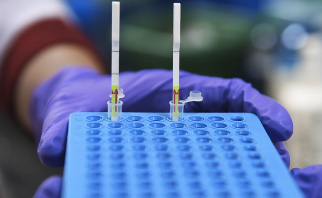 New Covid Variant Has "Unusually Large" Number Of Mutations: WHO